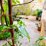 ゲストハウス Maison D'hote Mas De Castille Entre Uzes Et Le Pont Du Gard