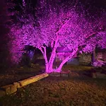 Maison D'hote Mas De Castille Entre Uzes Et Le Pont Du Gard ゲストハウス 3*