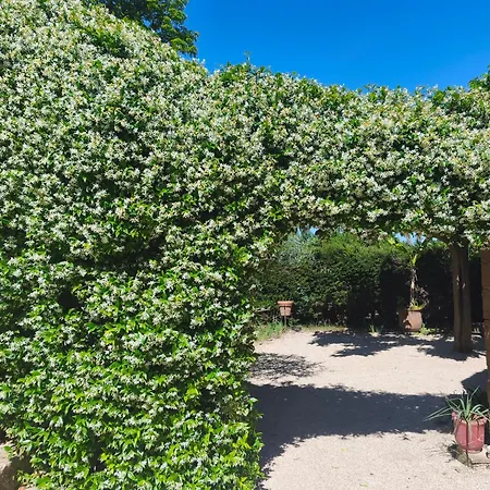Maison D'hôte Mas De Castille Entre Uzès Et Le Pont Du Gard Maison d'hôtes 3*